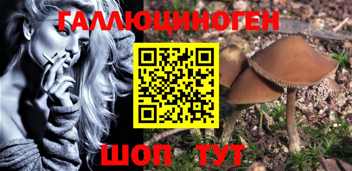 где найти наркотики  Вход с VPN  Строитель  Псилоцибиновые грибы Psilocybine cubensis 